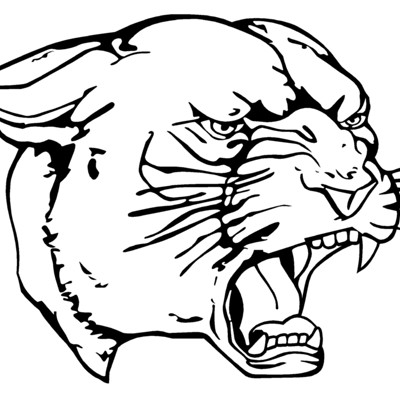 Cougar